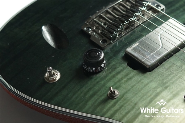 Axion Label S71AL-BML